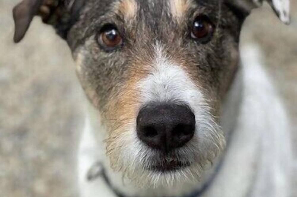 Photo of Outdoor in Mirrormont