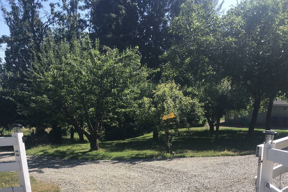 Photo of Others in Mirrormont