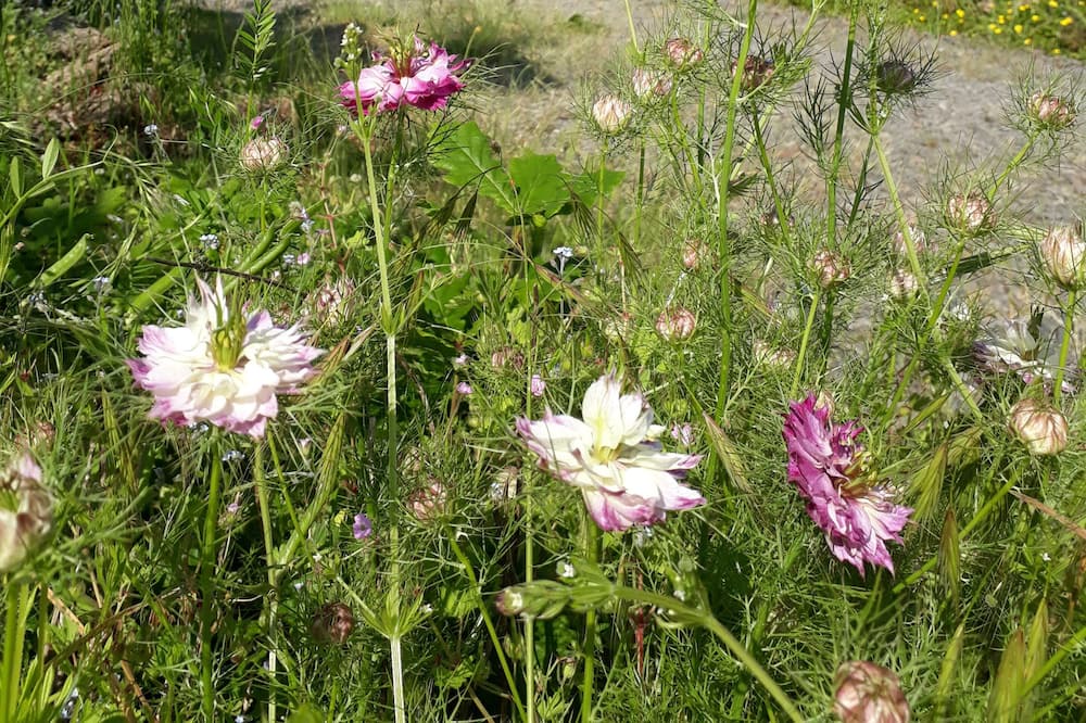 Photo of Outdoor in Vire-Normandie