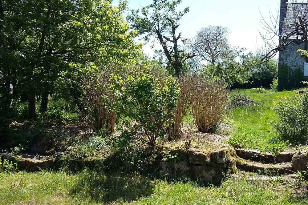 Photo of Outdoor in Vire-Normandie