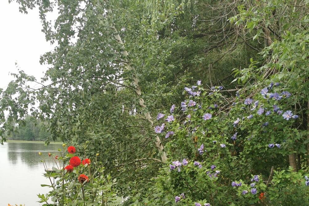 Photo of Outdoor in Vaudreuil