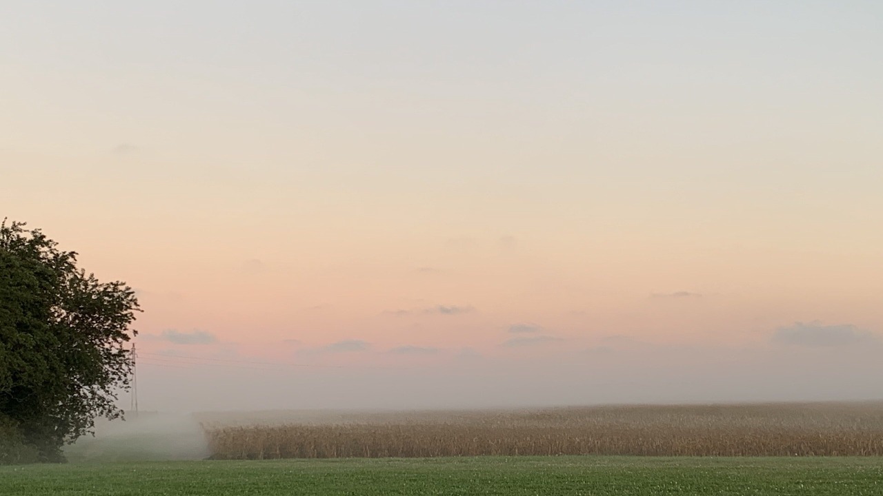 Photo of Others in Cutchogue