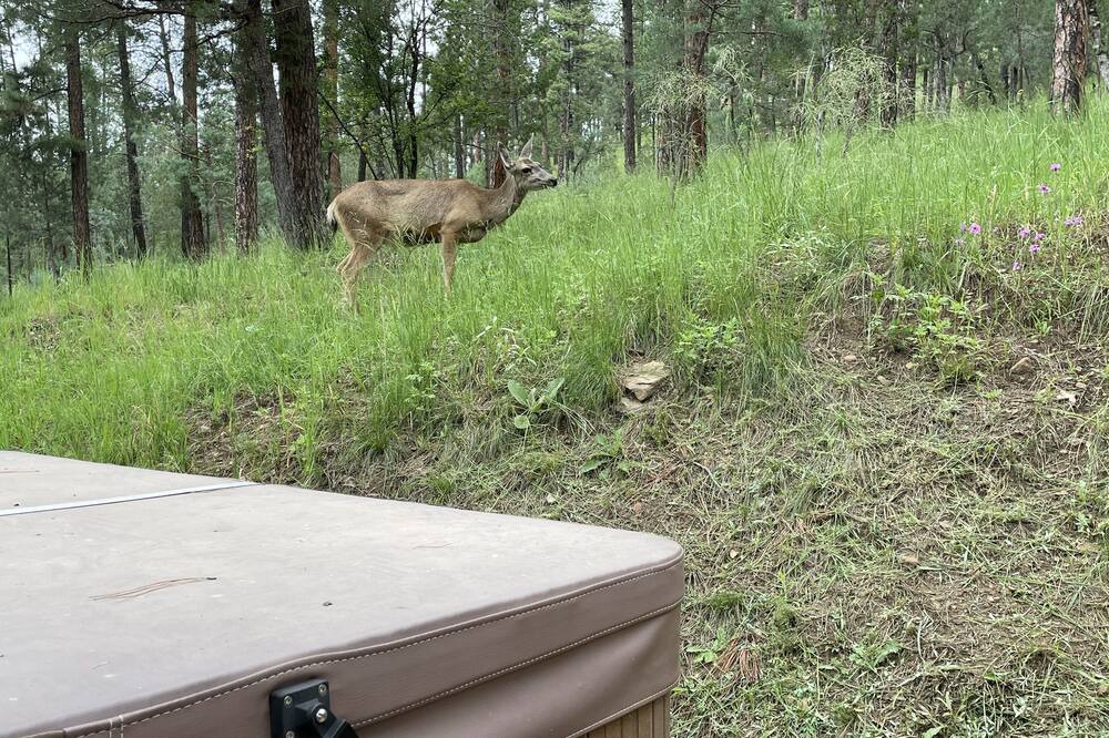 Photo of Outdoor in Ruidoso