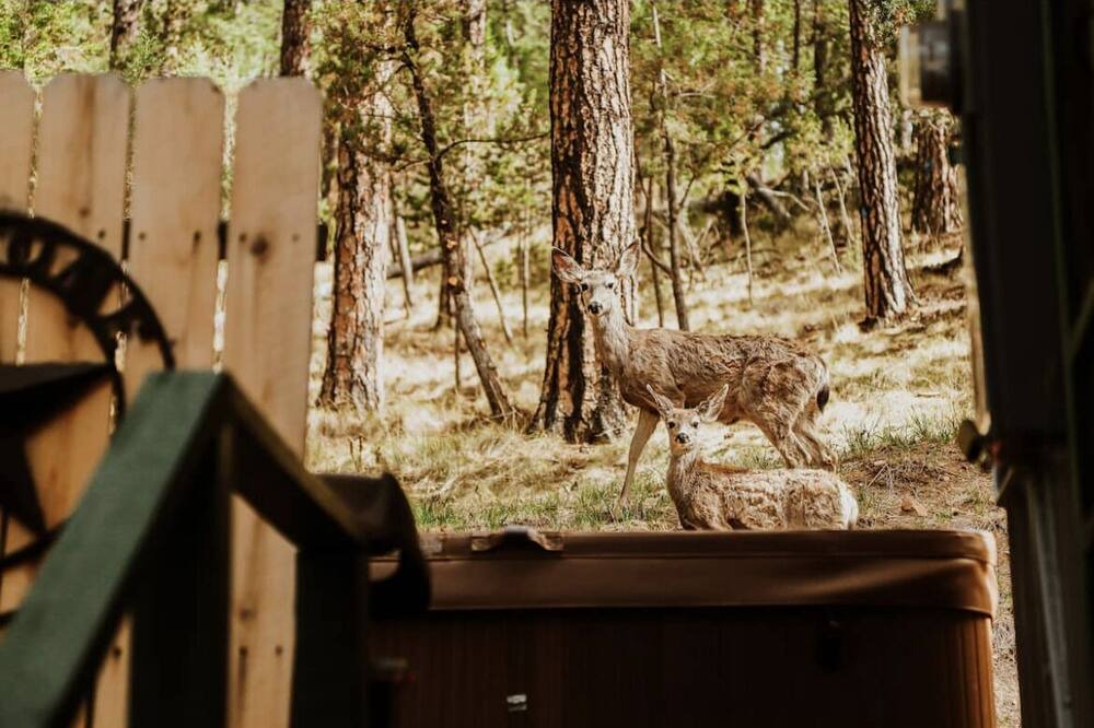 Photo of Others in Ruidoso