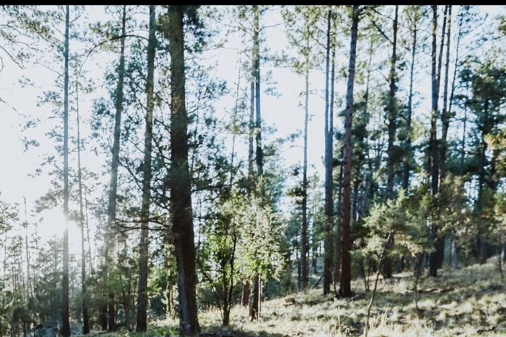 Photo of Others in Ruidoso
