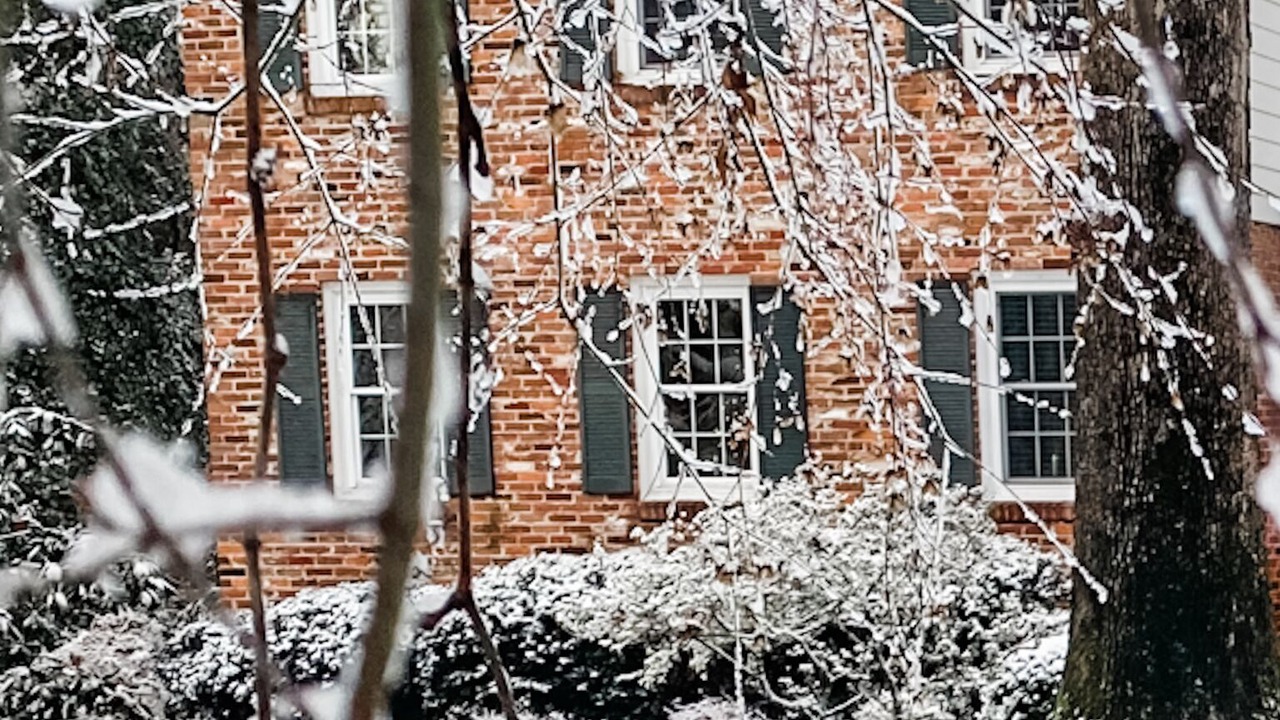 Photo of Outdoor in Williamsburg