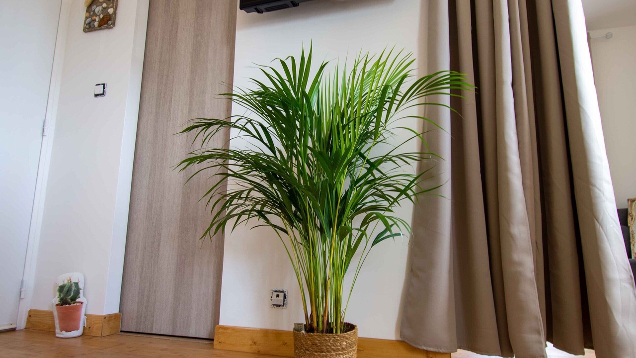 Photo of Others in Ambleteuse