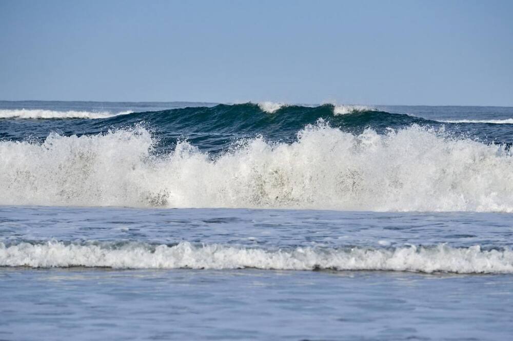 Photo of Others in Newport