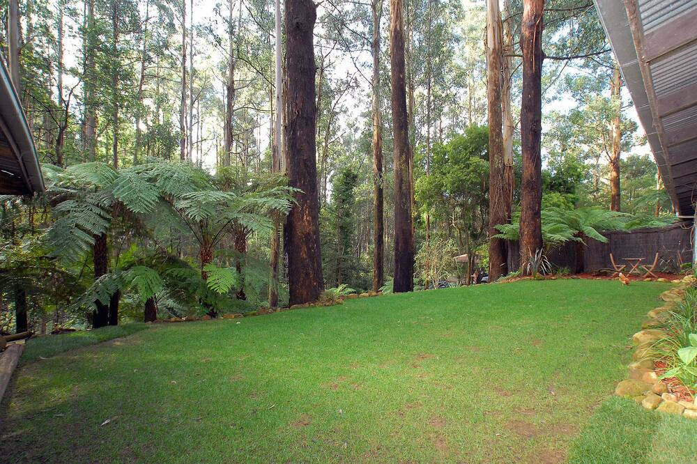 Photo of Outdoor in Mount Dandenong