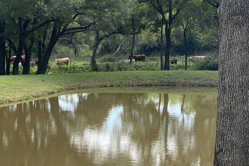 Photo of Others in Waco