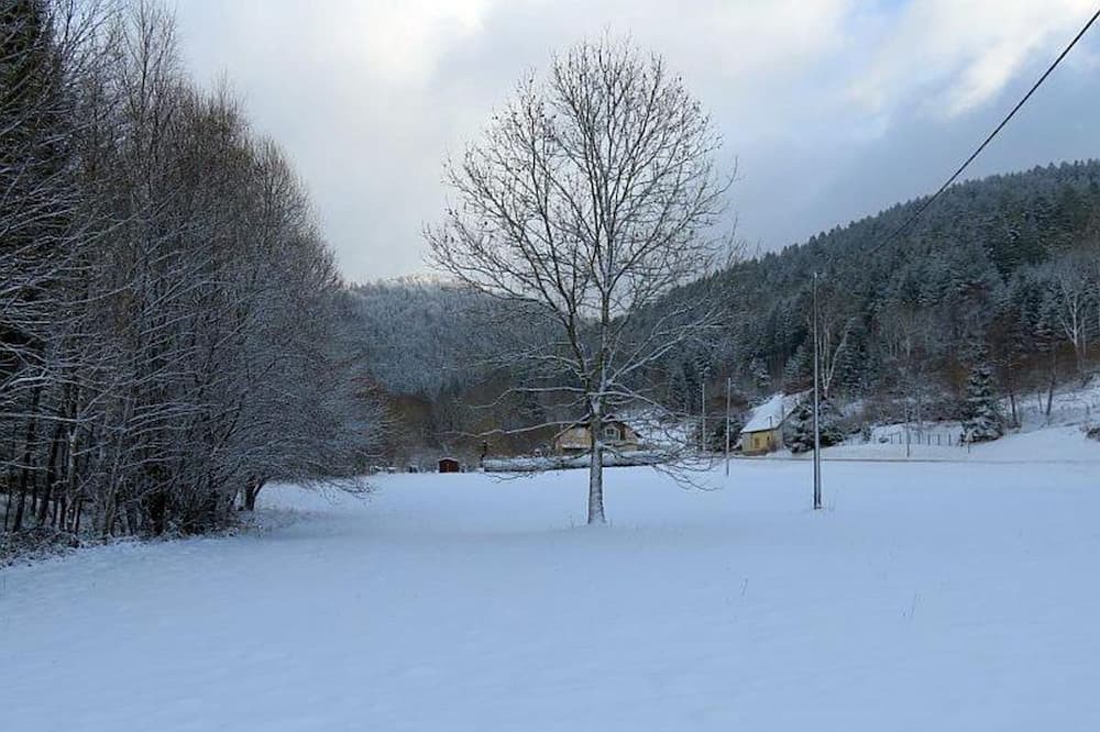 Photo of Others in Lubine