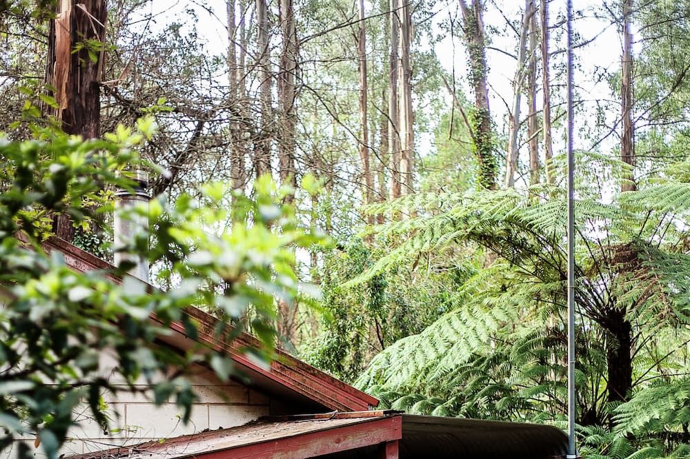 Photo of Outdoor in Mount Dandenong