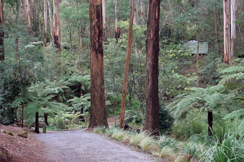 Photo of Outdoor in Mount Dandenong