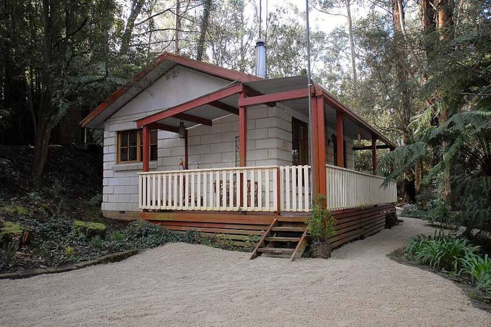 Photo of Outdoor in Mount Dandenong