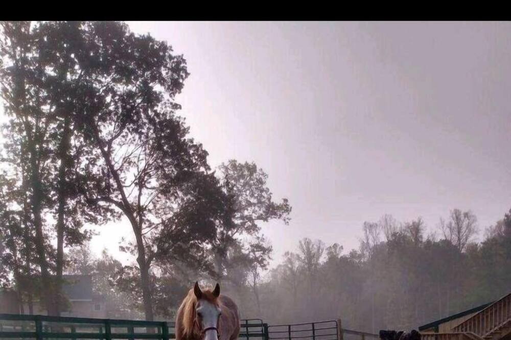 Photo of Others in Elon