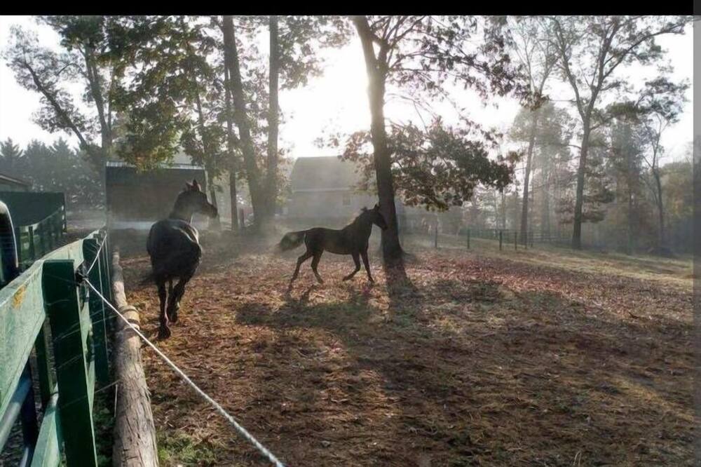 Photo of Others in Elon