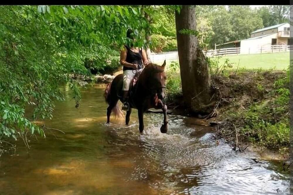 Photo of Others in Elon