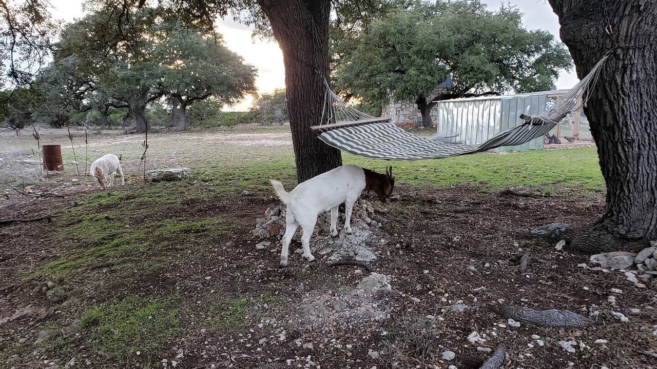 Photo of Outdoor in Boerne
