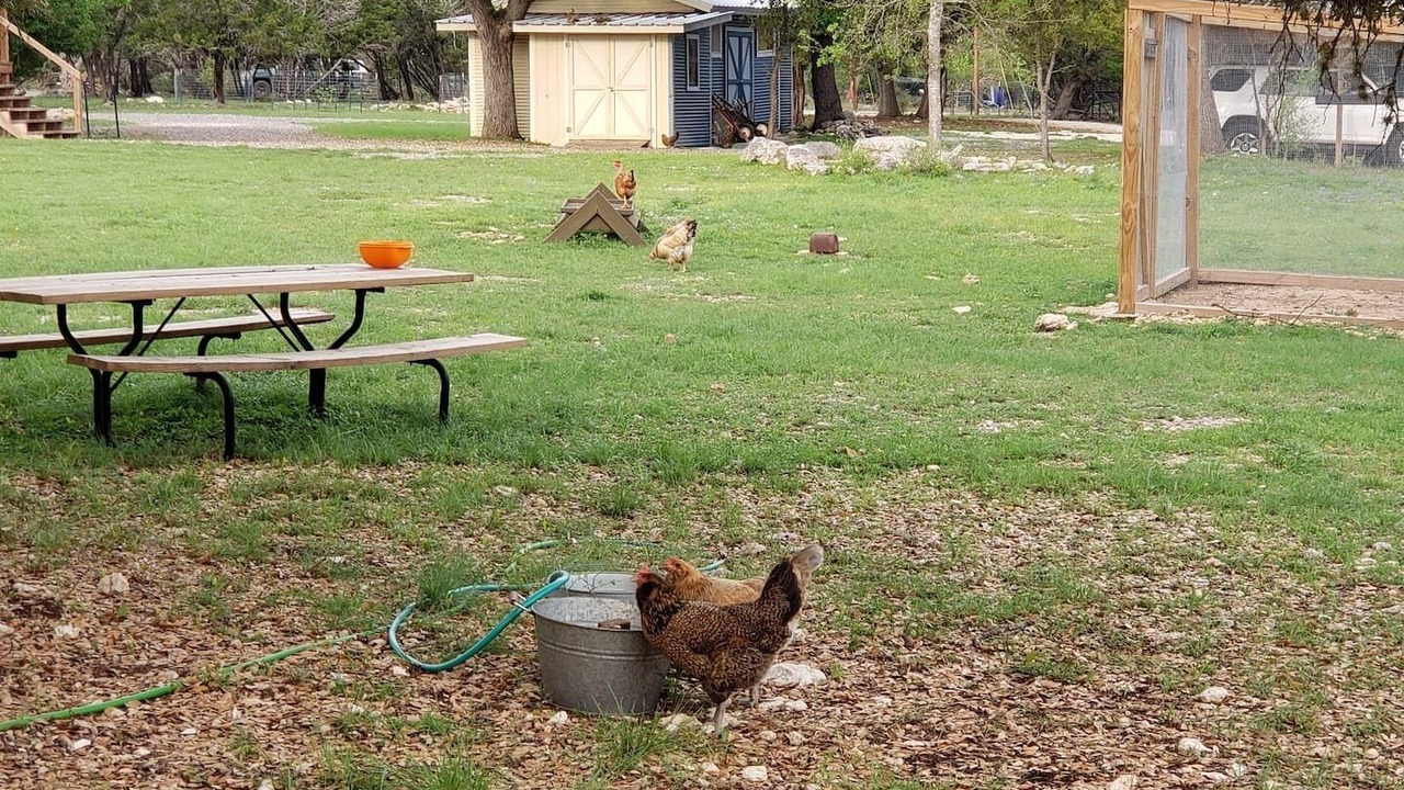 Photo of Outdoor in Boerne