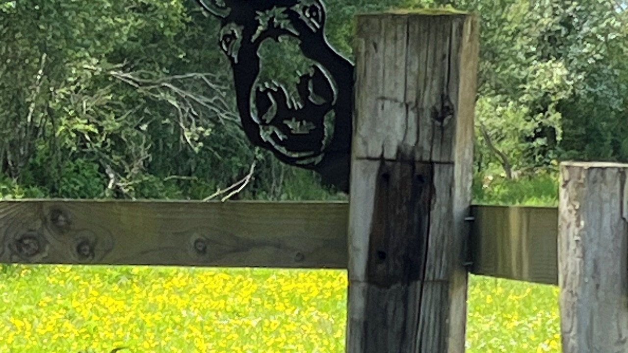 Photo of Outdoor in Clamerey