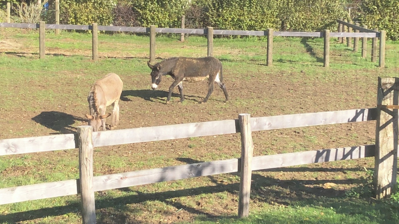 Photo of Outdoor in Clamerey