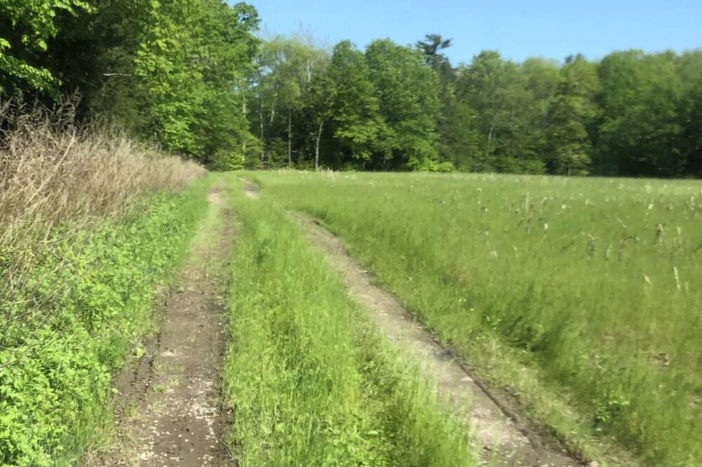 Photo of Others in Thompson Ridge
