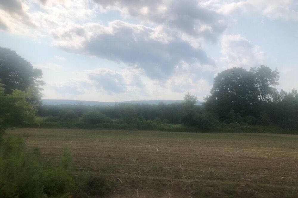 Photo of Others in Thompson Ridge