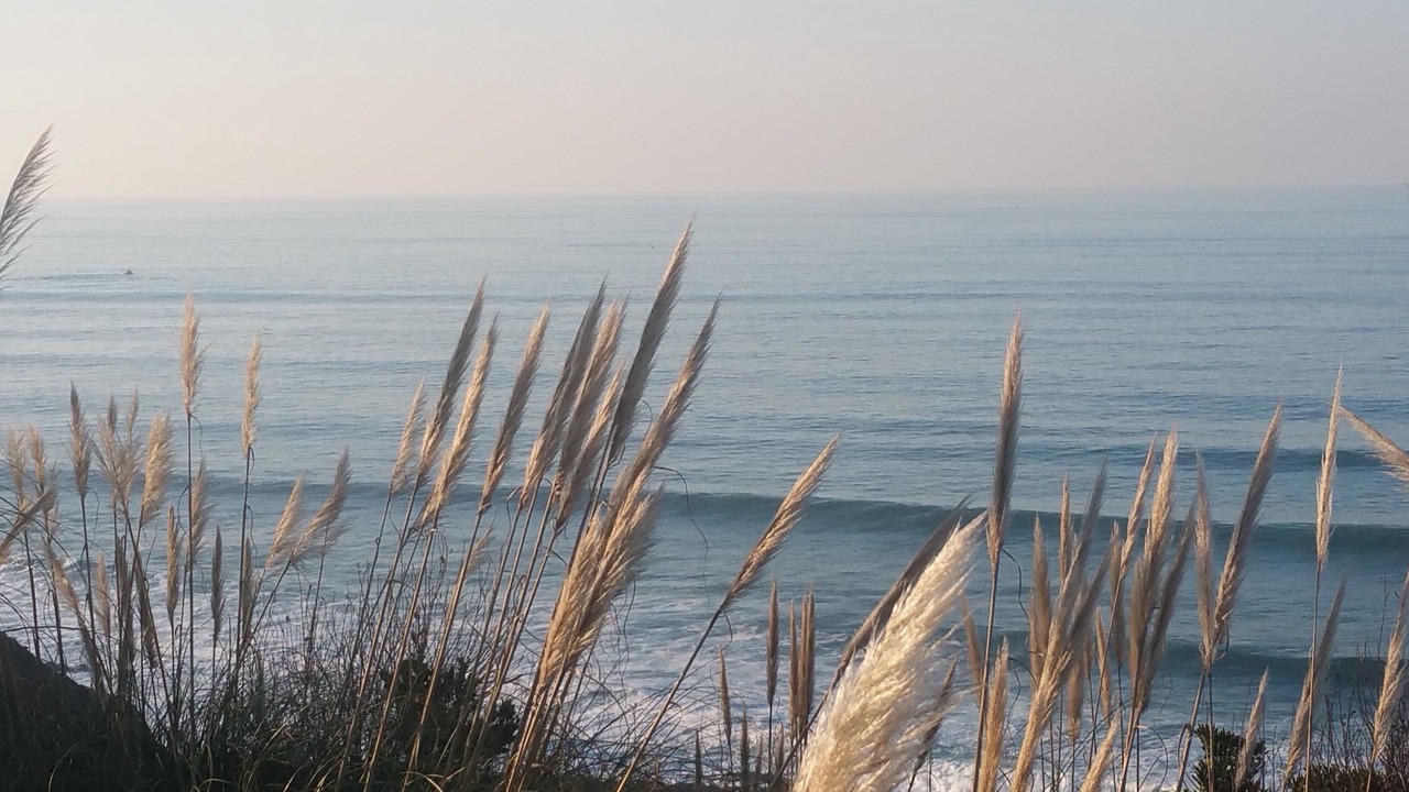 Photo of Outdoor in Bayonne