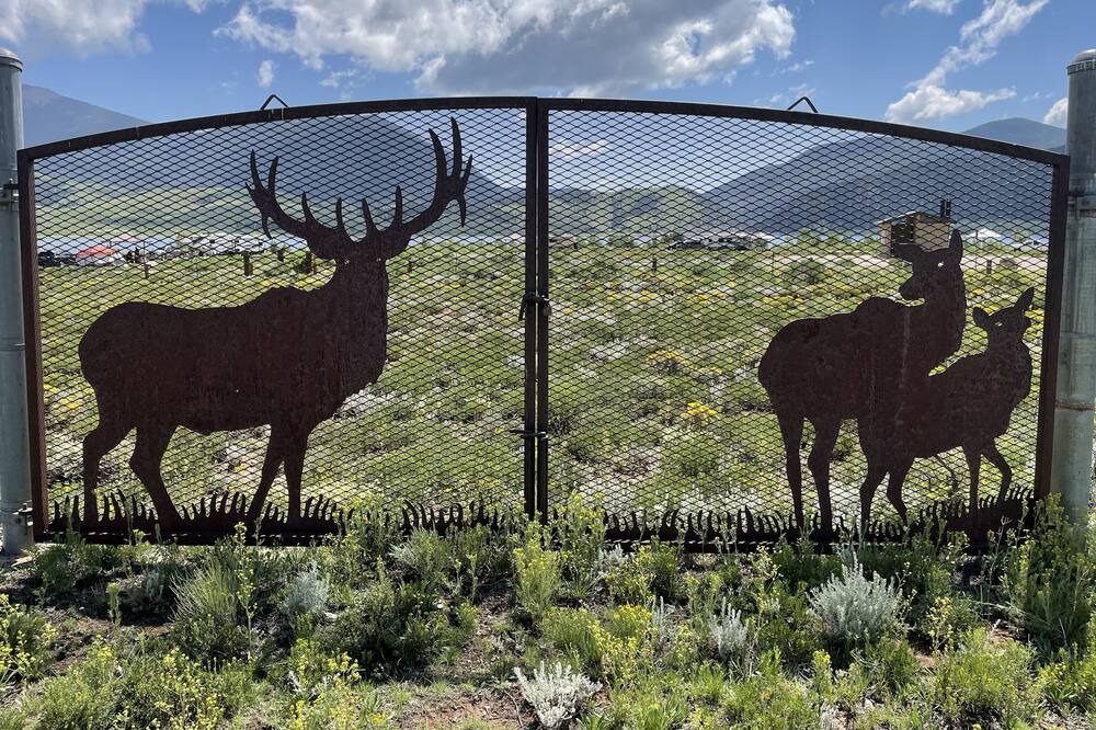 Photo of Others in Angel Fire
