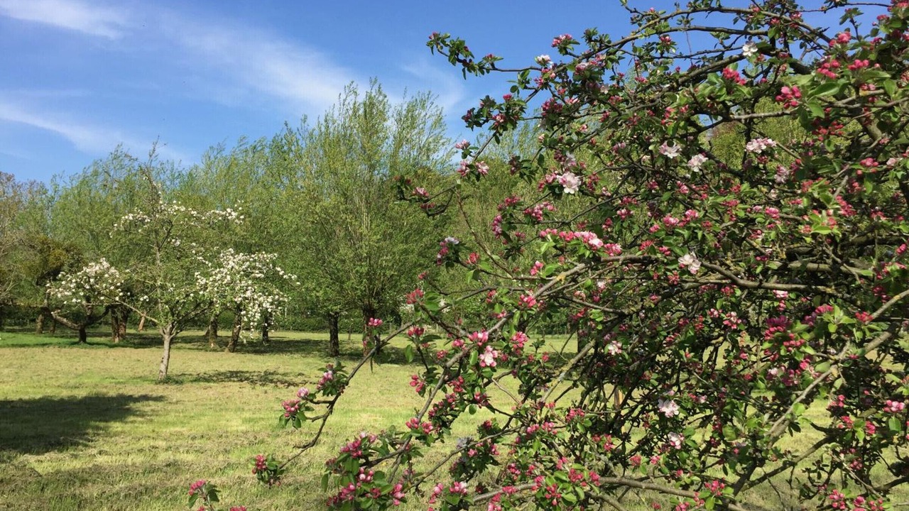 Photo of Others in Courset