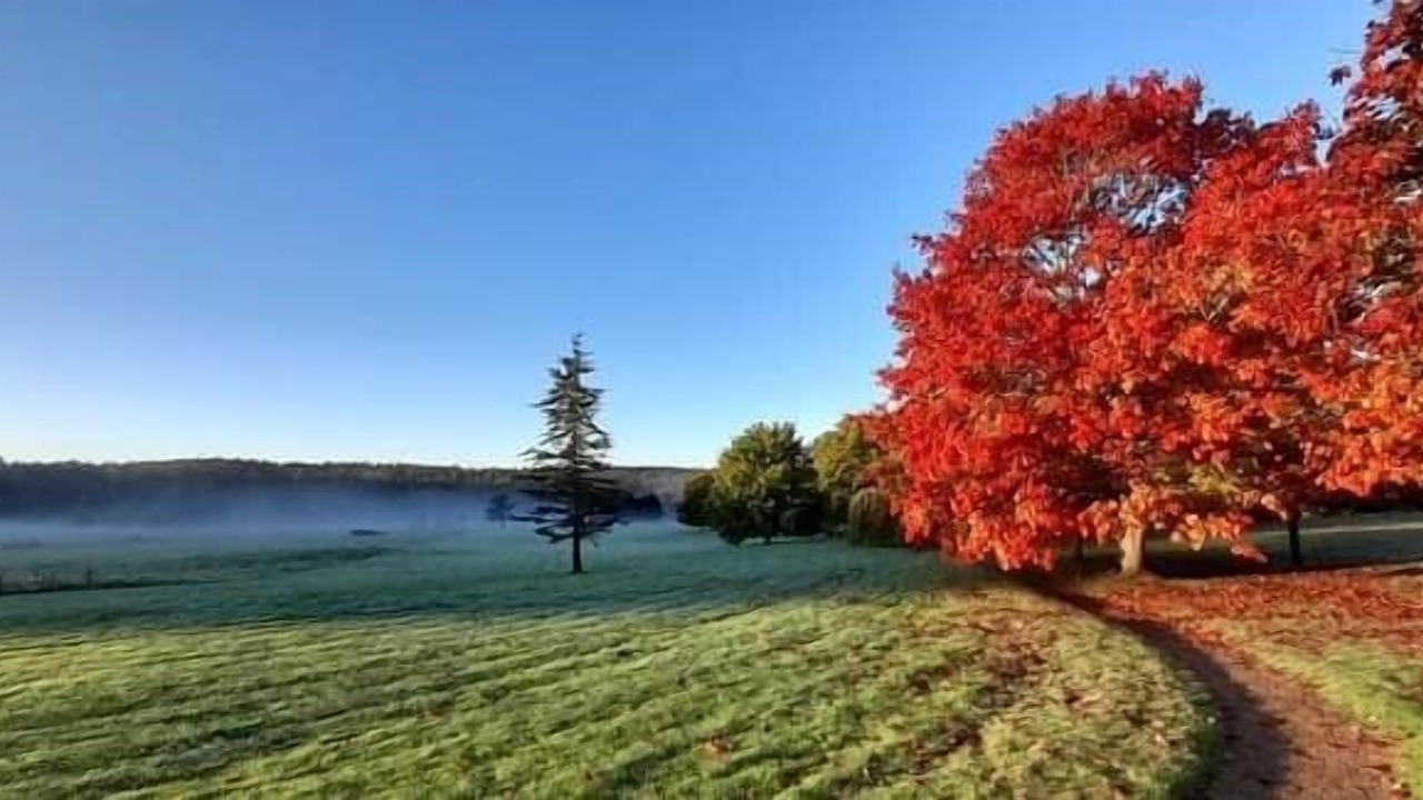 Photo of Outdoor in Staplefield