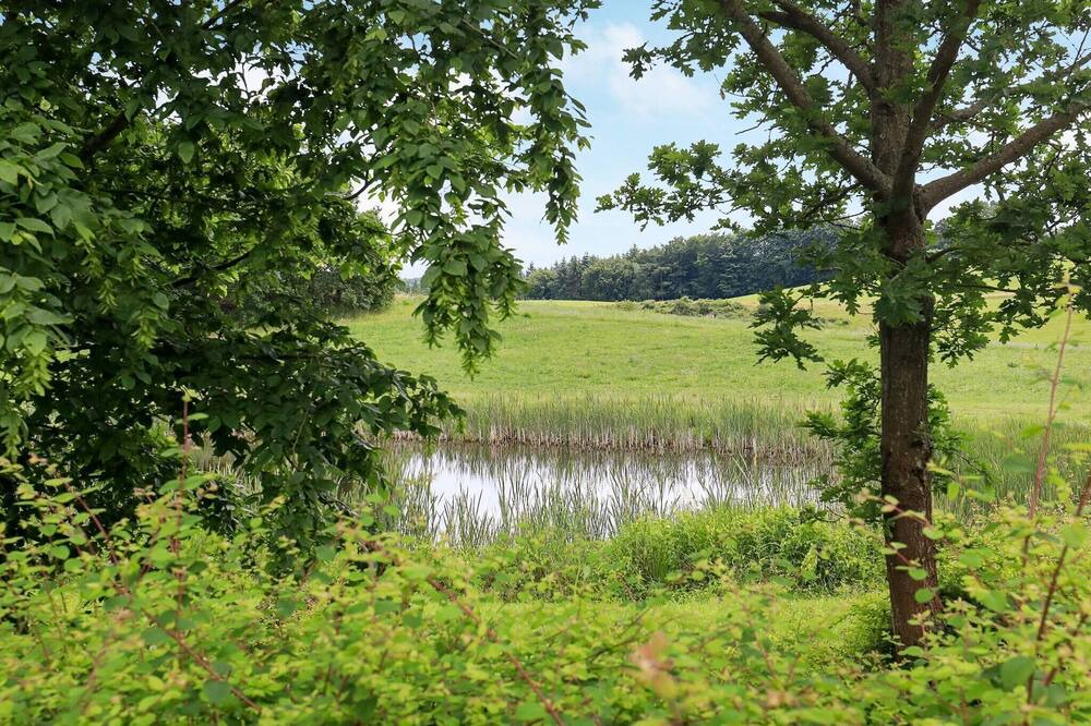 Photo of Others in Faaborg