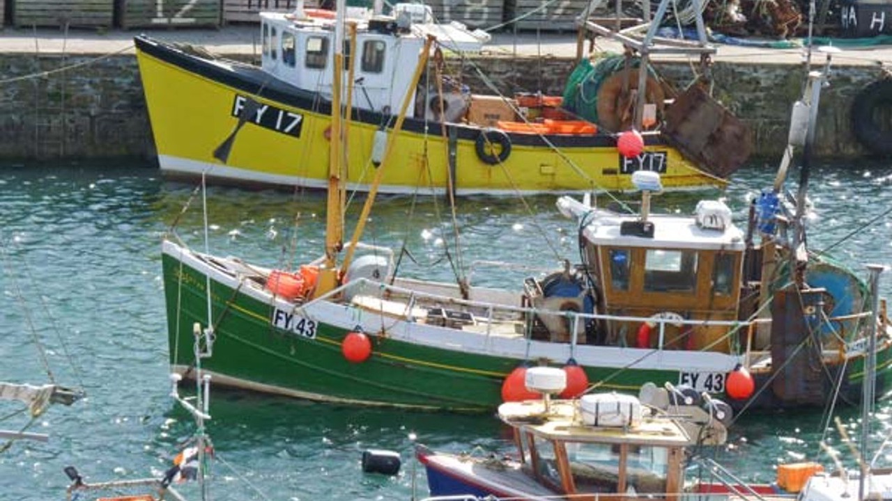 Photo of Others in Mevagissey