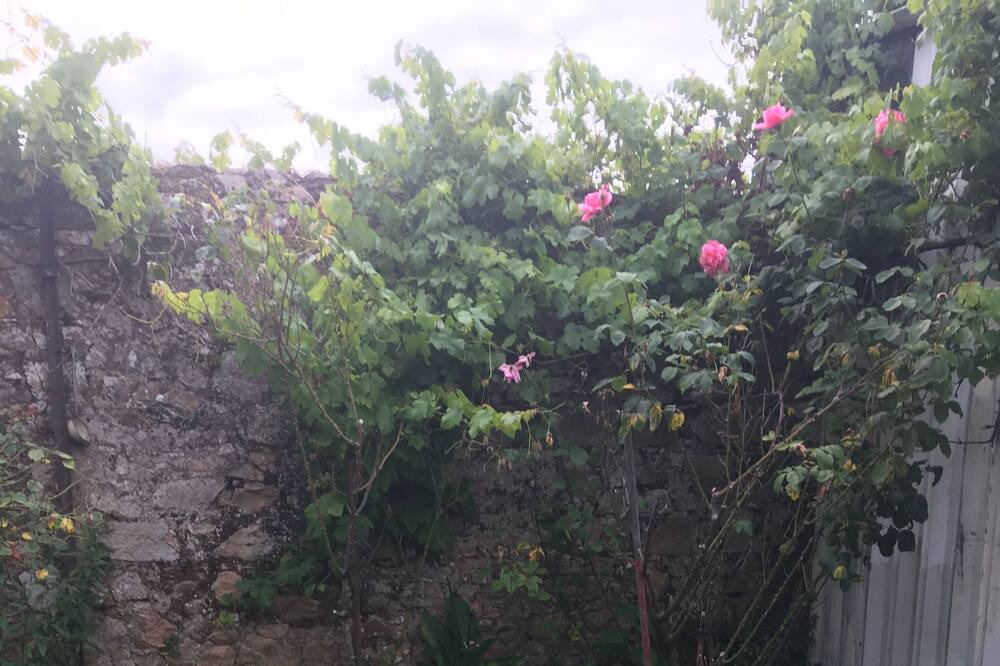 Photo of Outdoor in Paimboeuf