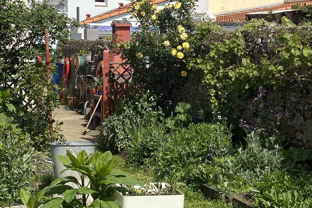 Photo of Outdoor in Paimboeuf