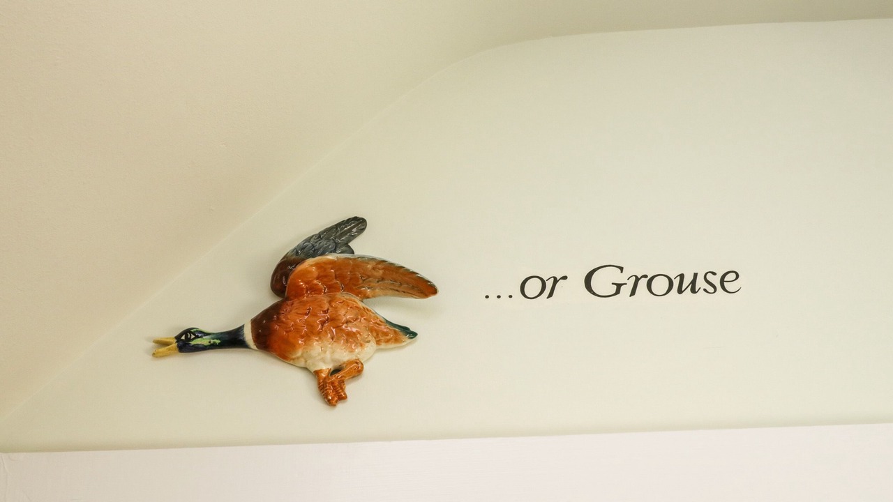 Photo of Others in Whitby