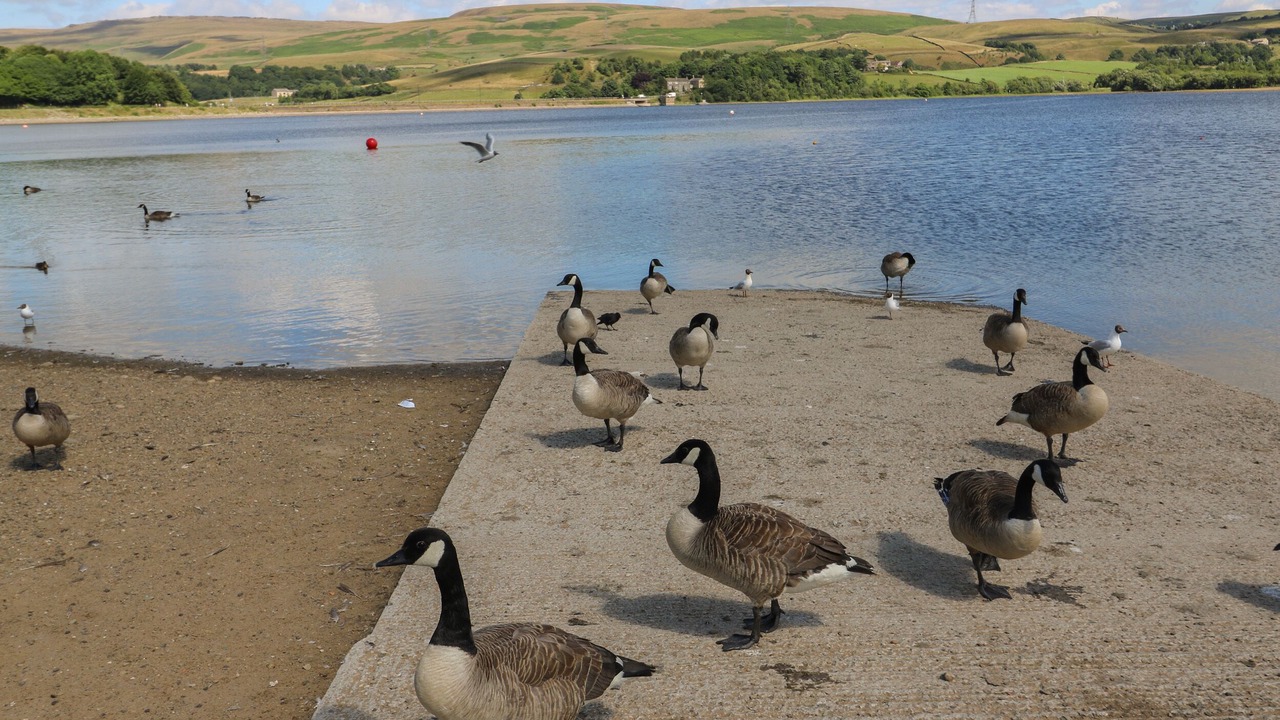 Photo of Others in Littleborough