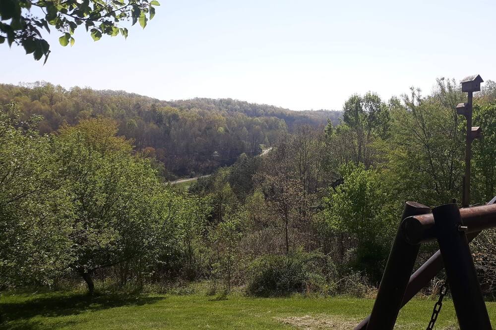 Photo of Outdoor in Tyner