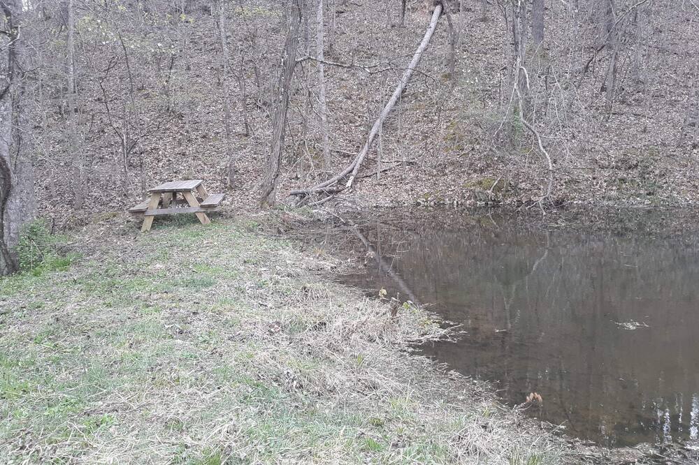 Photo of Others in Tyner
