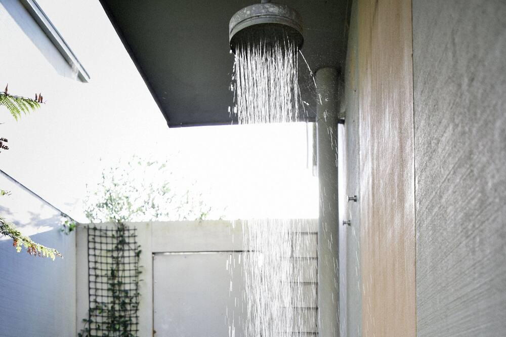 Photo of Others in Whangapoua