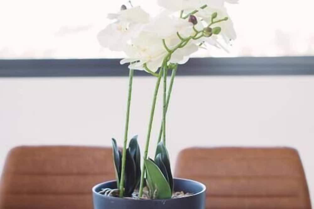 Photo of Others in Coogee