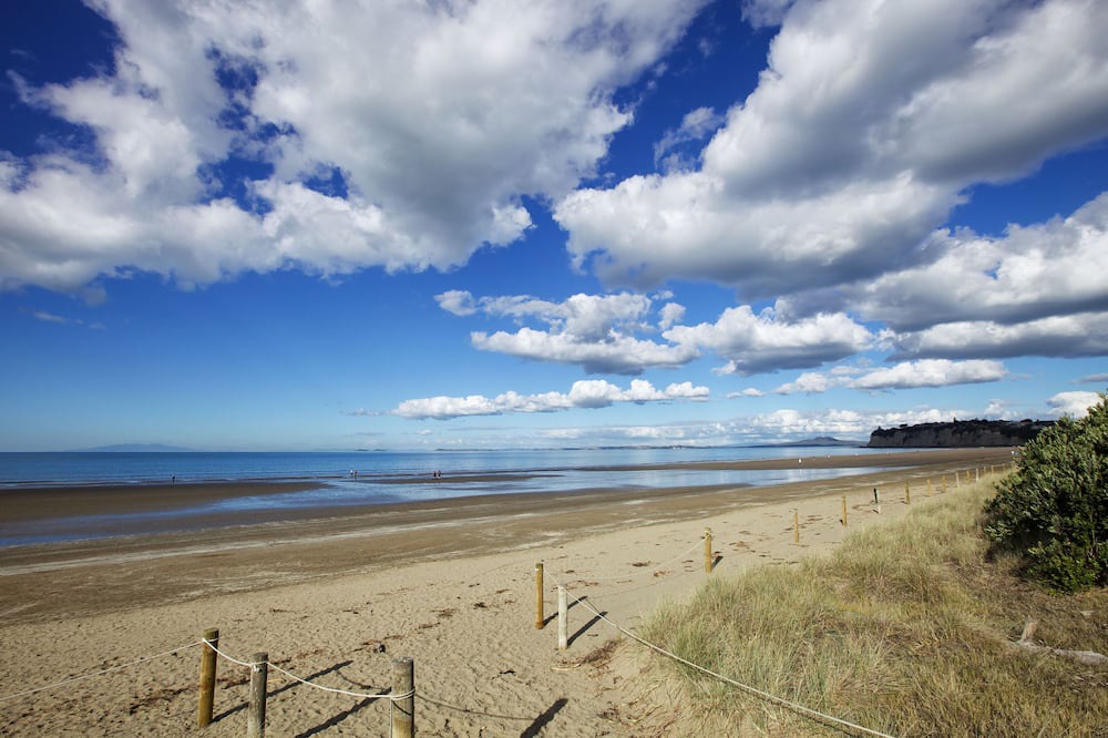 Photo of Others in Long Bay