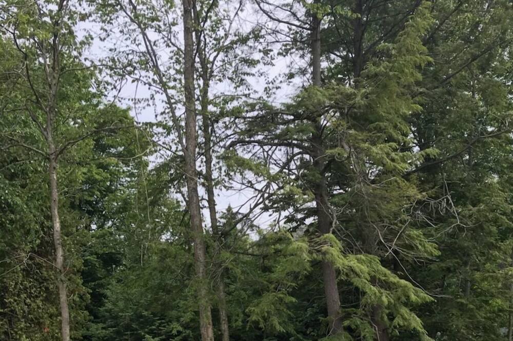 Photo of Outdoor in Kincardine