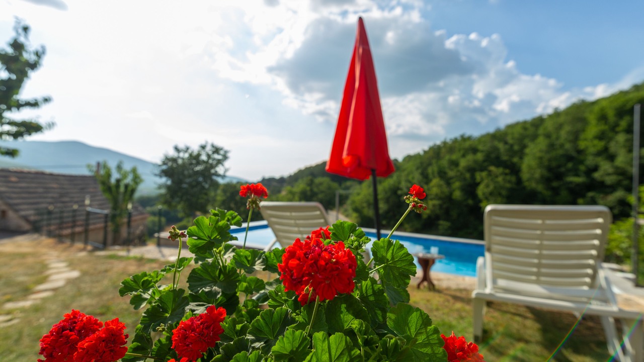 Photo of Outdoor in Lovrec