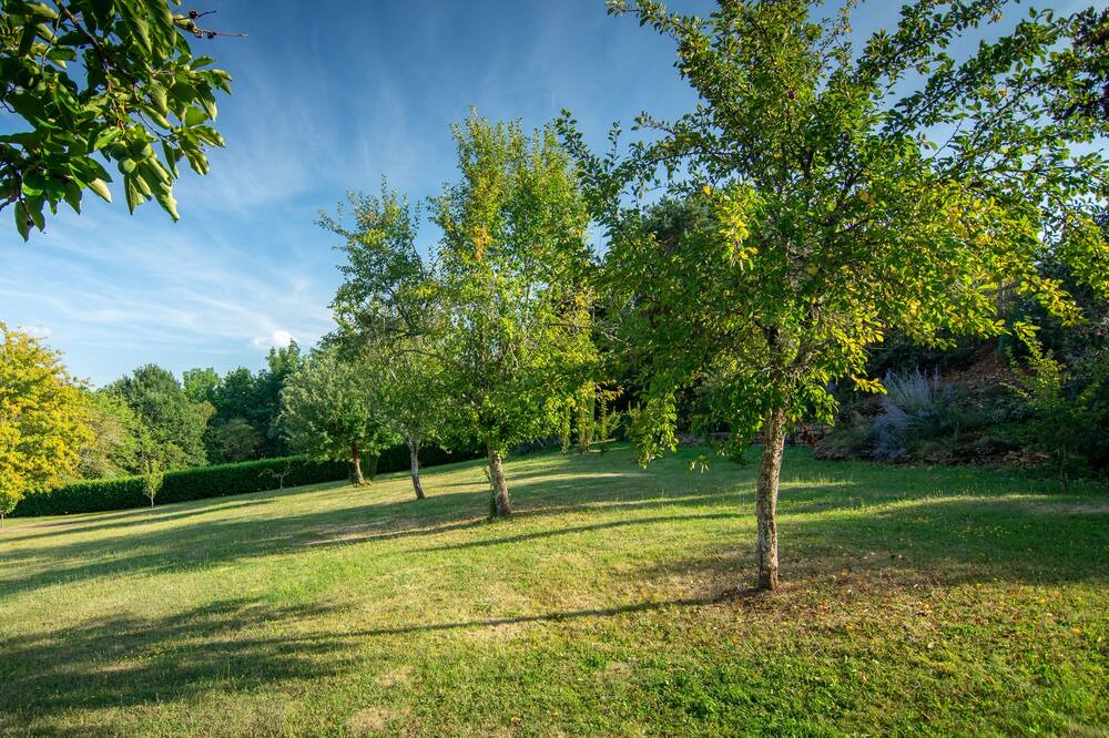 Photo of Others in Frayssinet-le-Gelat