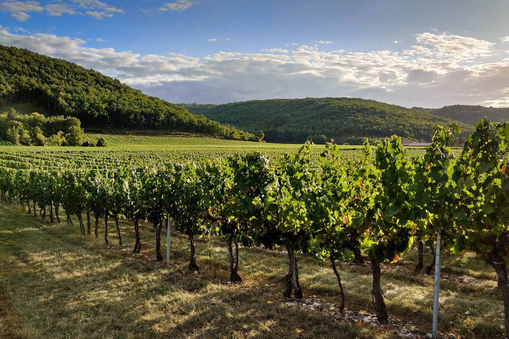 Photo of Outdoor in Frayssinet-le-Gelat