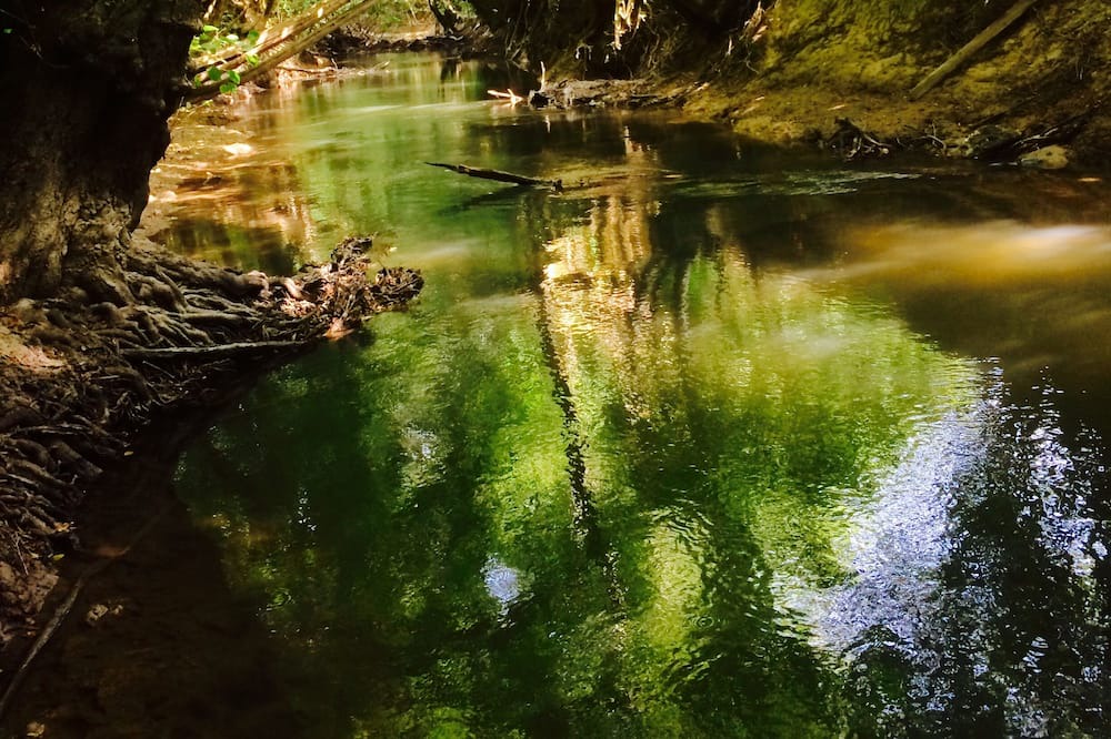 Photo of Outdoor in Sablonnieres