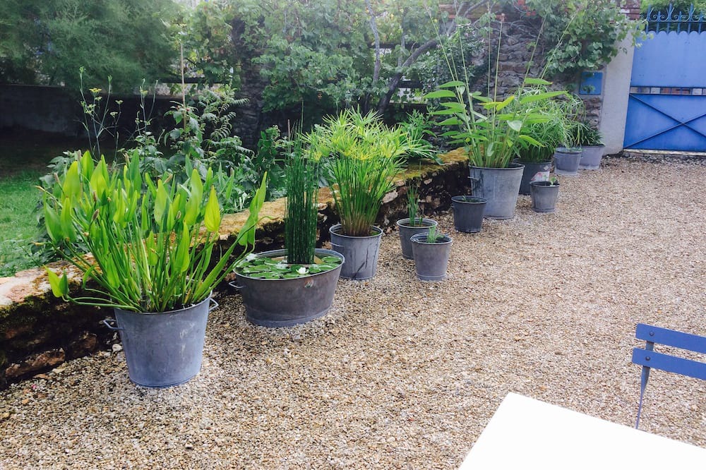 Photo of Outdoor in Sablonnieres