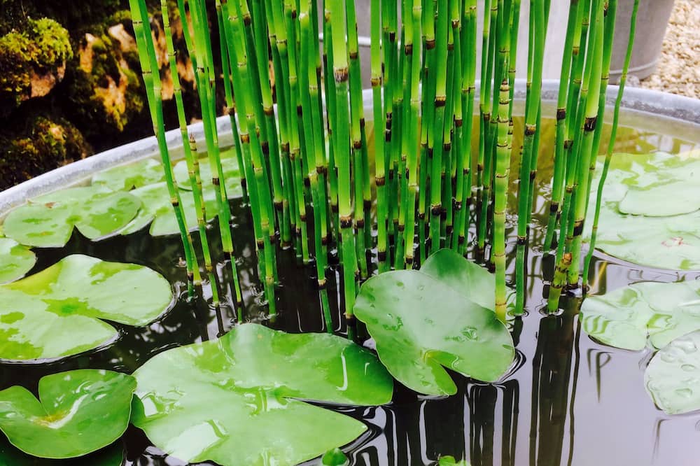 Photo of Others in Sablonnieres