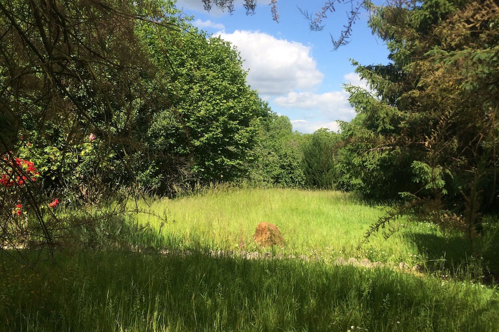 Photo of Outdoor in Sablonnieres